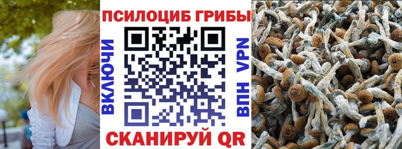 Галлюциногенные грибы мицелий Дыгулыбгей